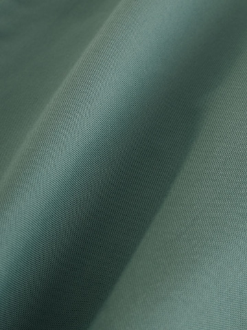 Regular fit Camicia di Next in verde