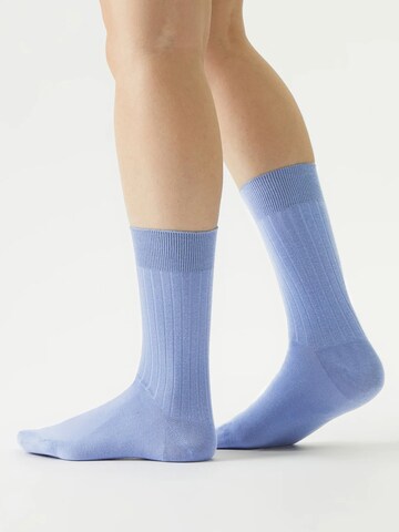 Von Jungfeld Socks 'Rosa / Cyberlime / Taubenblau' in Pink