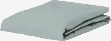 ESSENZA Bed Sheet 'The Perfect' in Green: front