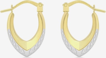 Lucardi Earrings 'Klassisch' in Gold: front