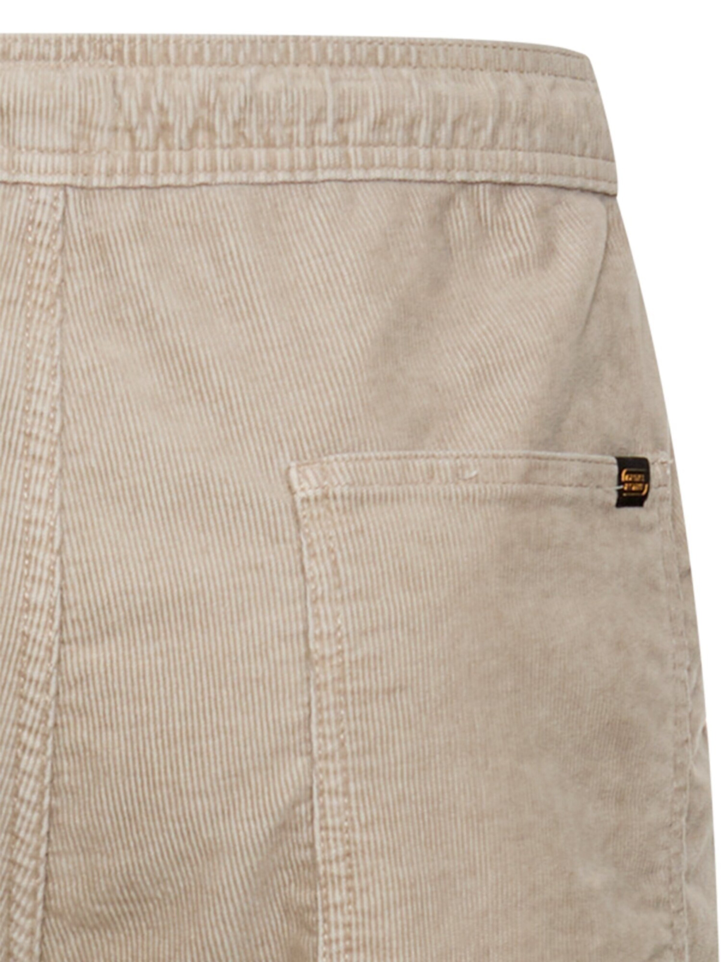 CAMEL ACTIVE Regular Pants in Beige