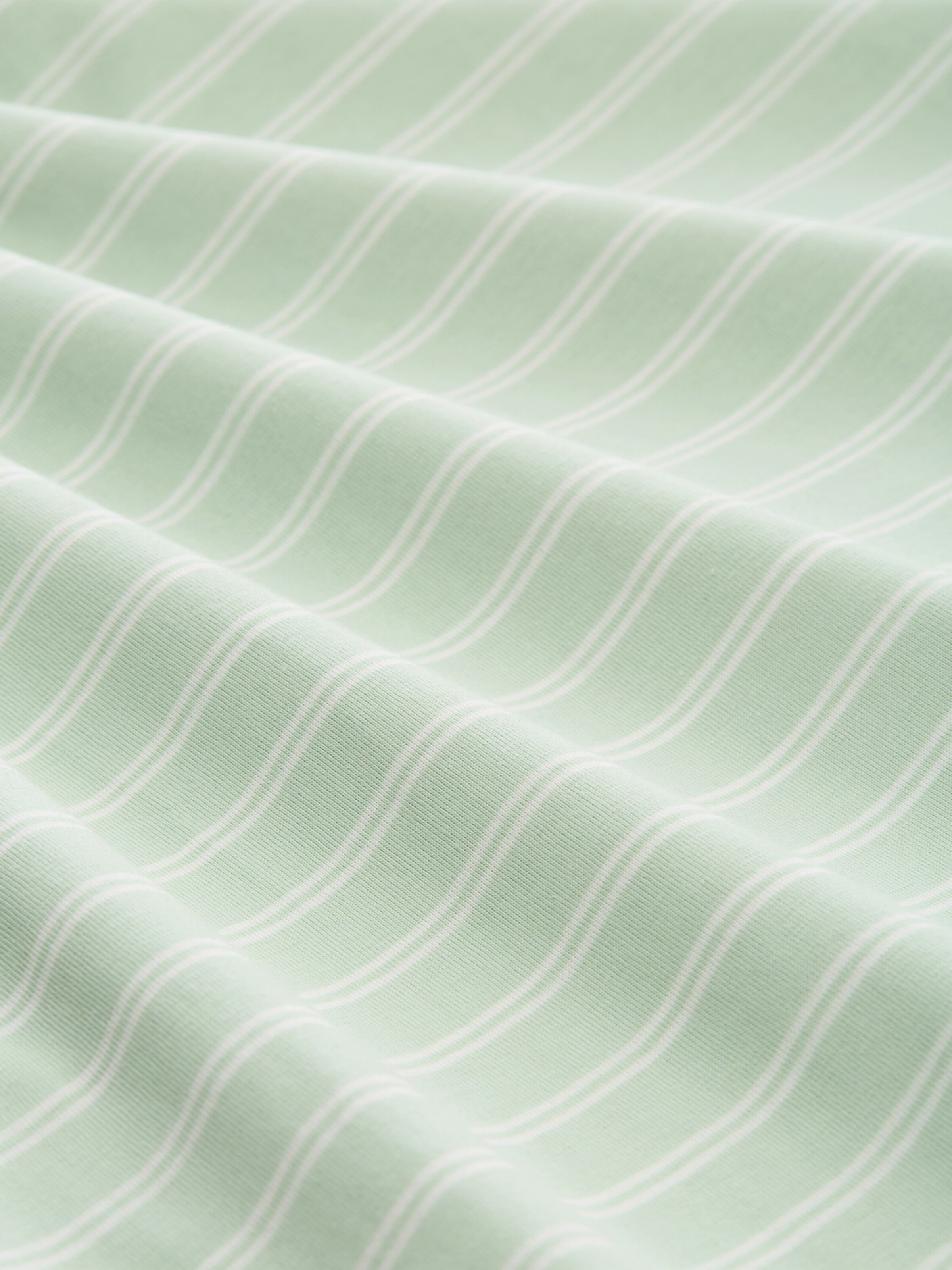 Maglietta di TOM TAILOR DENIM in verde