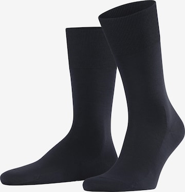 FALKE Socken 'ClimaWool' in Blau: Vorderseite