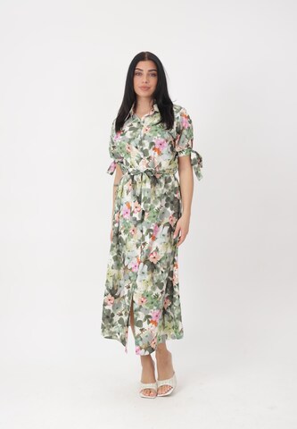 Elara Blusekjole i grøn: forside