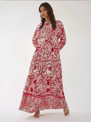 Hiccup Kleid in Rot