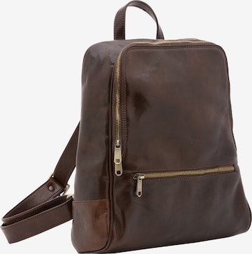 Viola Castellani Backpack in Brown: front