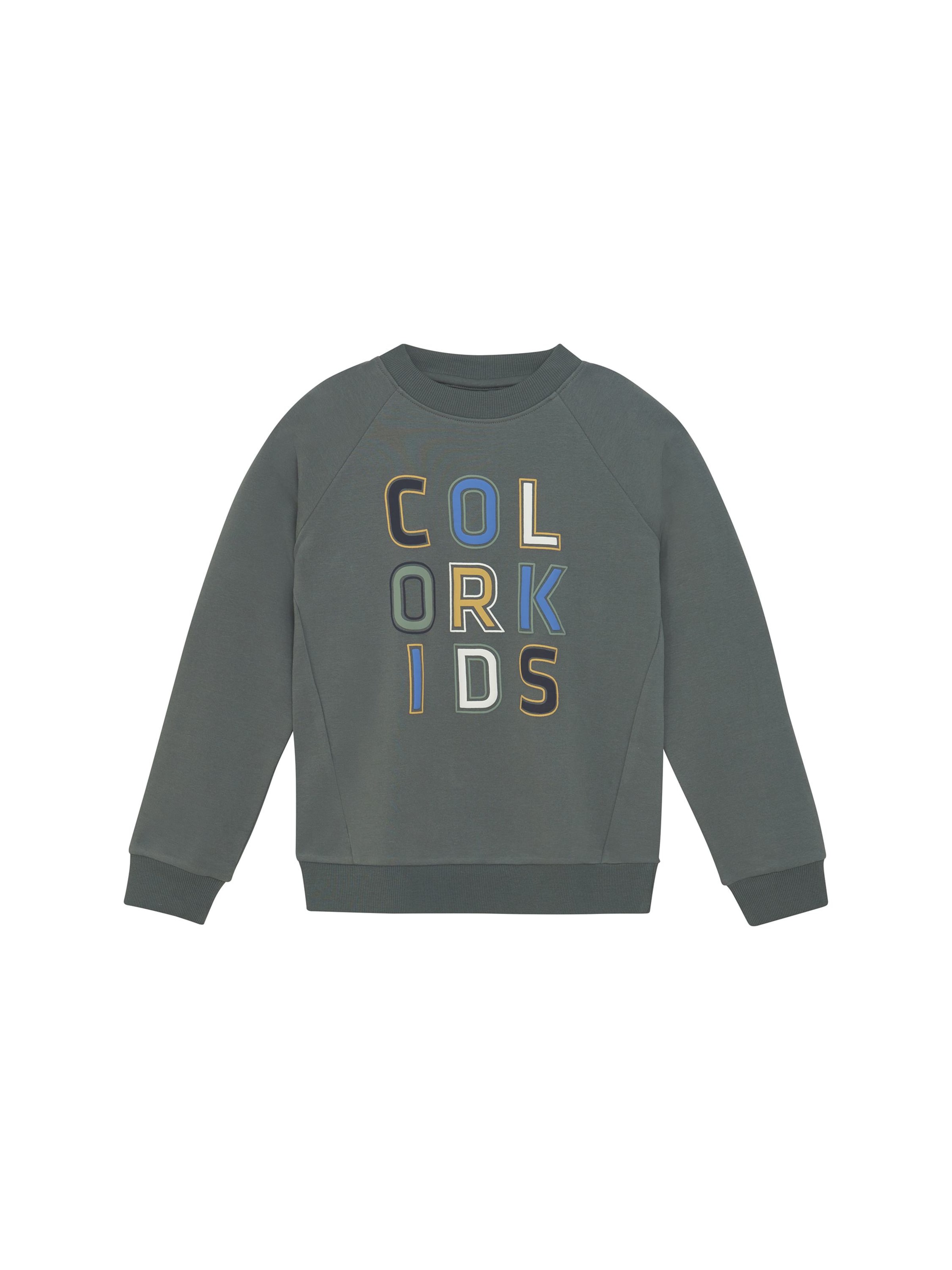 Pullover ' COSweat W. JR. Logo Print ' di COLOR KIDS in verde: frontale