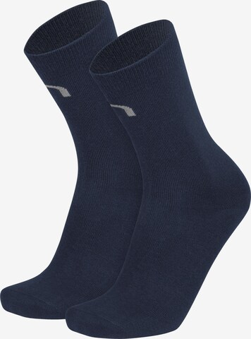 normani Knee High Socks in Blue