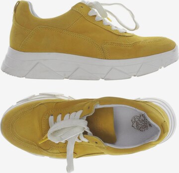 Apple of Eden Sneakers & Trainers in 36 in Yellow: front