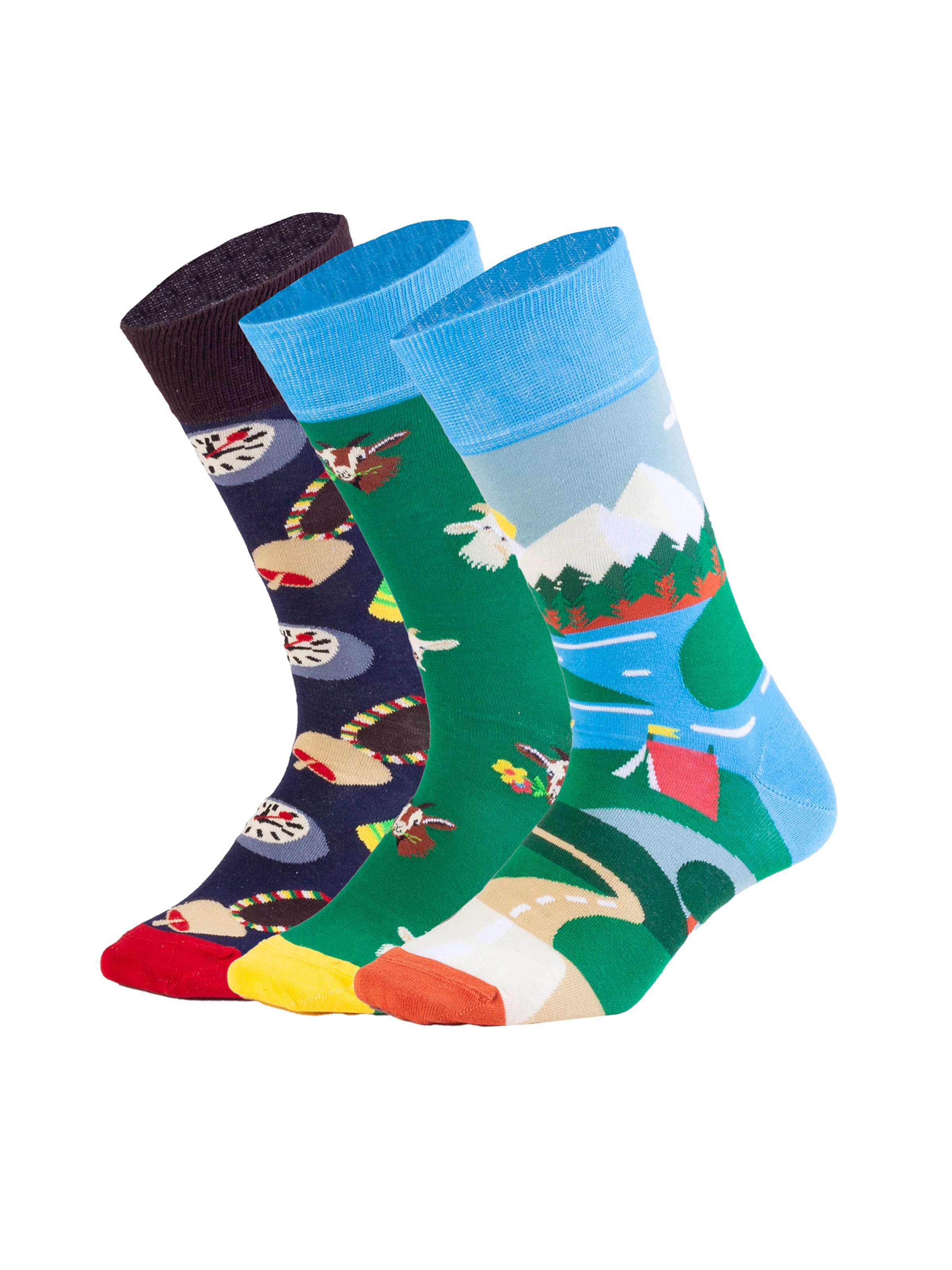 DillySocks Socken in Mischfarben: Vorderseite