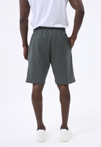 Felix Hardy Regular Broek in Groen