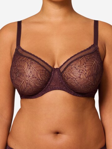 Simone Perele Bra 'Comete' in Brown