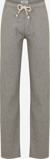 Jack & Jones Plus Trousers 'KANE' in Grey, Item view