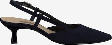 Paul Green Pumps in Blauw