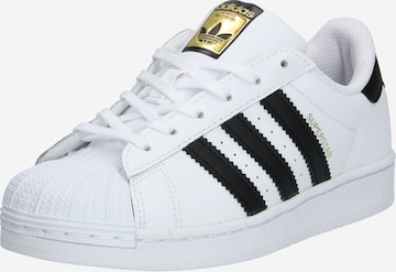 ADIDAS ORIGINALS حذاء رياضي 'SUPERSTAR' بـ أبيض: الأمام