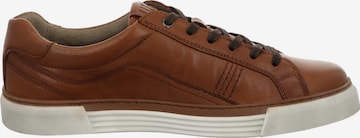 Pius Gabor Lace-Up Shoes in Brown