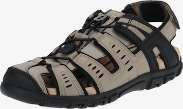 GEOX Sandalen in Beige: voorkant