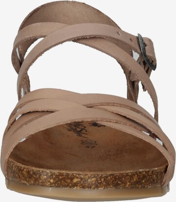 COSMOS COMFORT Sandalen met riem in Beige