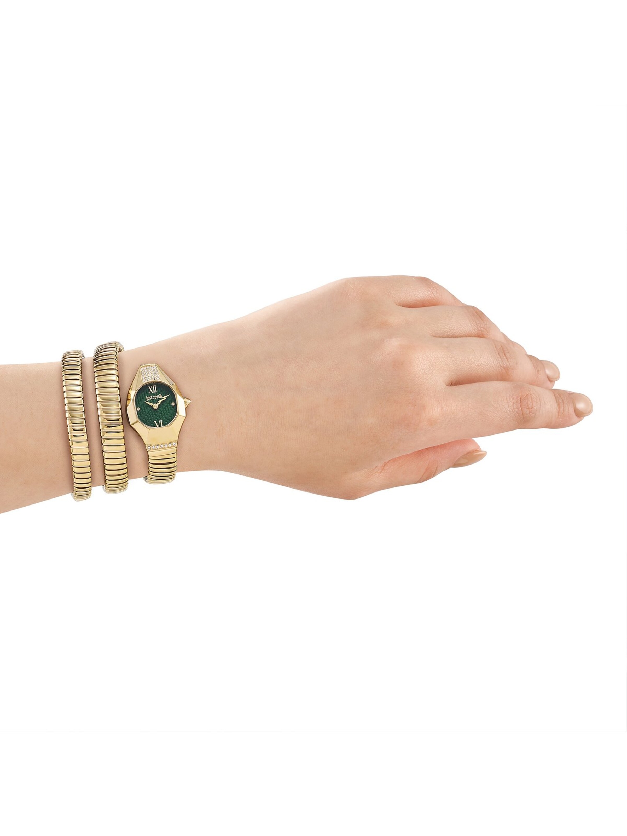 Just Cavalli Time Analog Watch in Gold: front