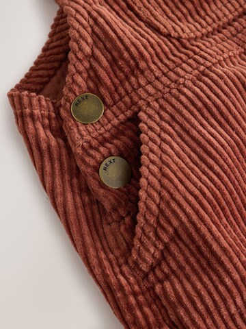 Next Skirt in Brown