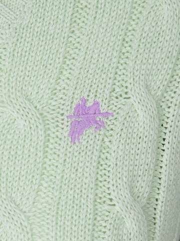DENIM CULTURE Pulover 'Perla' | zelena barva