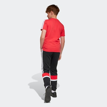 ADIDAS SPORTSWEAR Regular Pants in Black