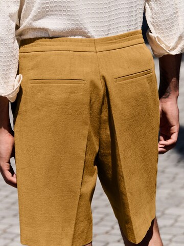 Next Regular Pleated Pants in Brown