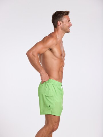 Shorts de bain wavebreaker en vert