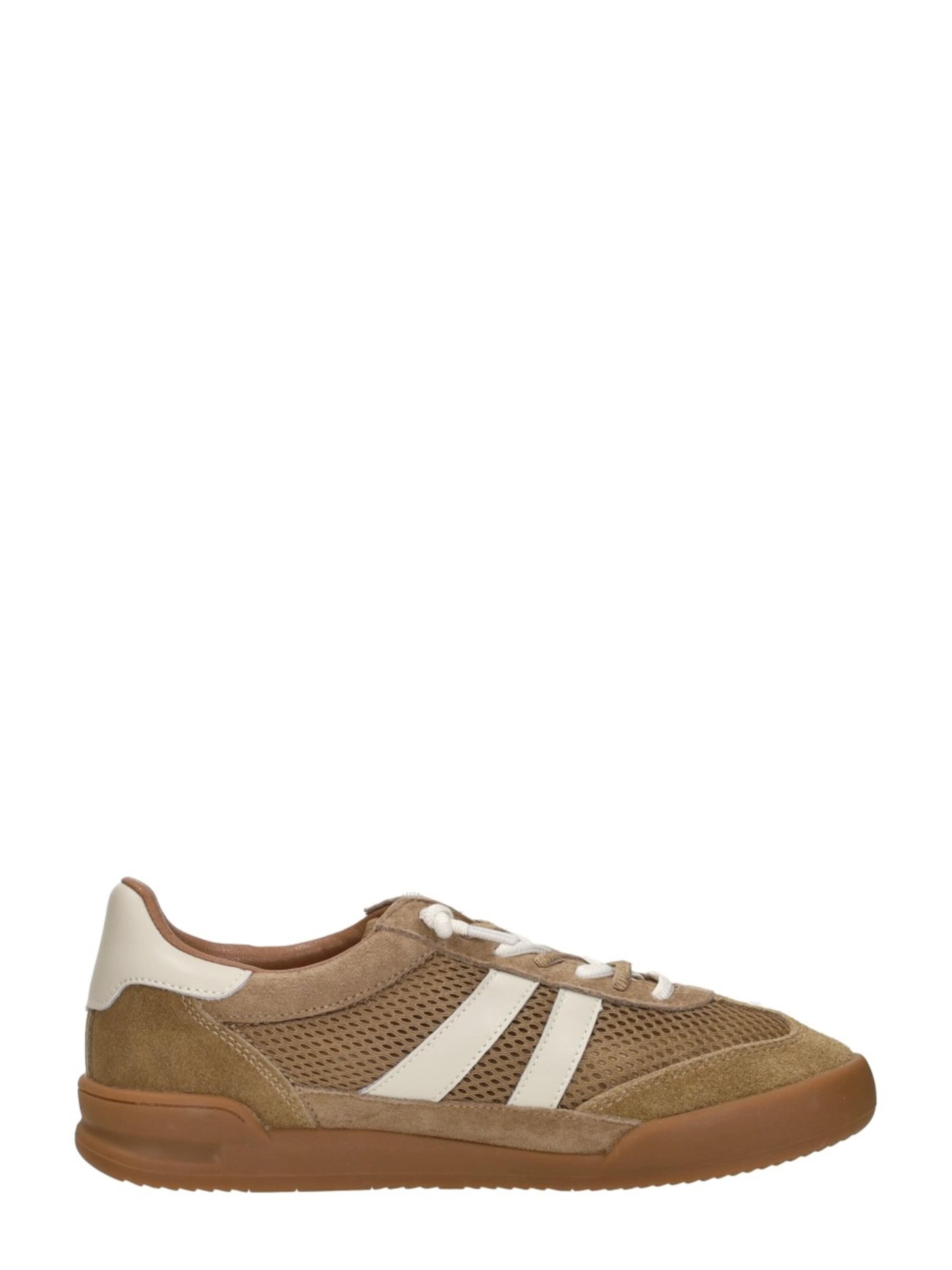 STEVE MADDEN Sneakers 'Verdict' in Brown