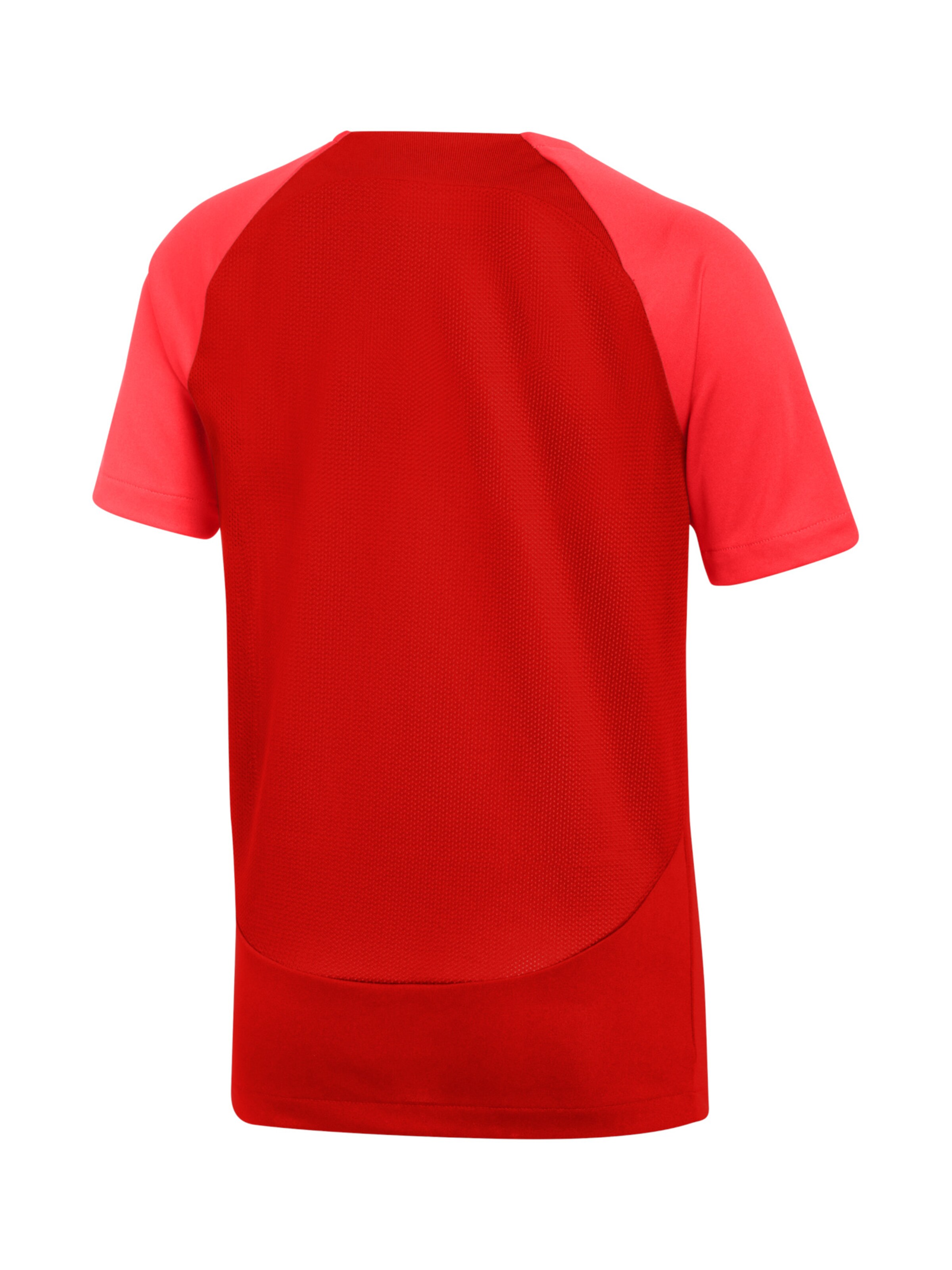 NIKE Funktionsshirt 'Academy' in Rot