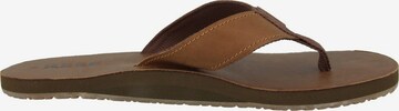 REEF T-Bar Sandals in Brown