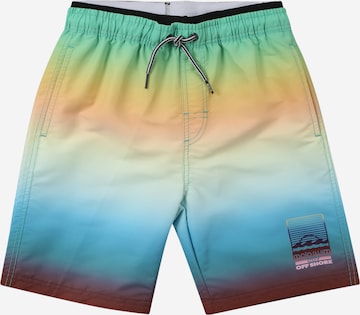 Shorts de bain 'Neal' Molo en mélange de couleurs : devant