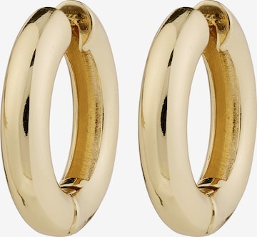 Boucles d'oreilles ' Marlo ' Pilgrim en or : devant