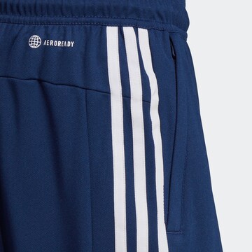 ADIDAS PERFORMANCE Обычный Спортивные штаны 'Train Essentials' в Синий