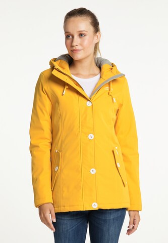 ICEBOUND - Casaco de inverno em amarelo: frente