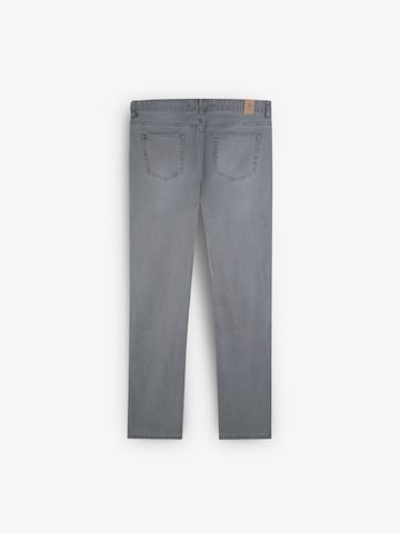 Regular Jean Scalpers en gris