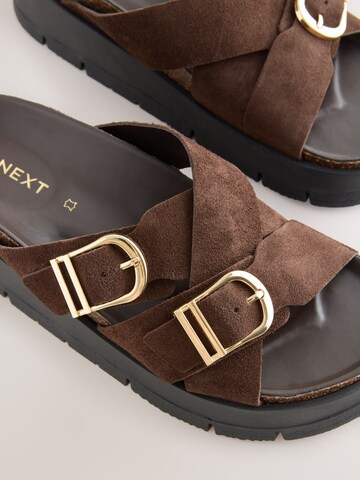 Next Muiltjes in Bruin