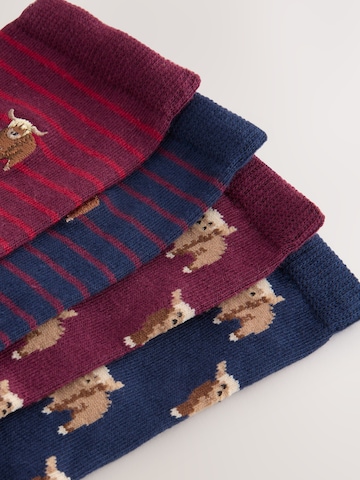 Next Sockor i blå