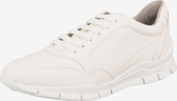 GEOX Sneakers 'Sukie' in White: front