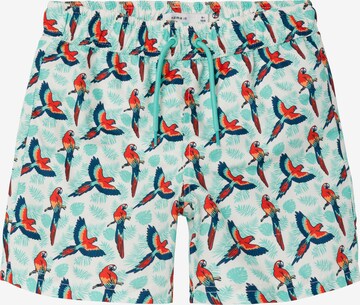 NAME IT Zwemshorts 'ZADDI' in Gemengde kleuren: voorkant