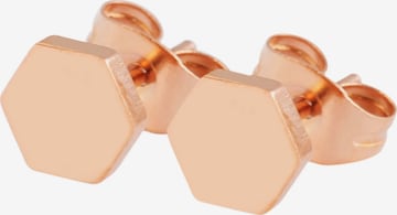 Akzent Earrings 'Taimi, langlebig' in Gold: front