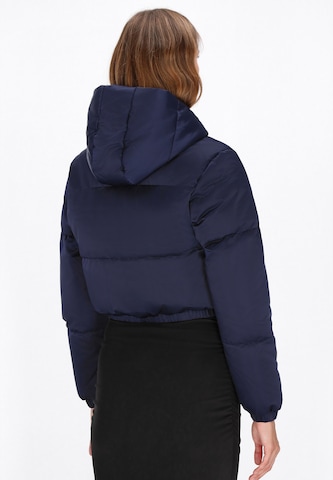 Geacă de iarnă de la faina pe albastru