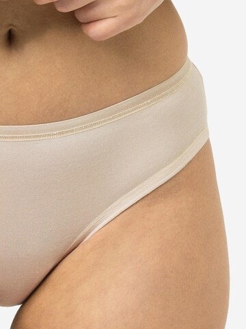 Mey Boyshorts 'Modal Pure' in Beige