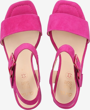 Sandalo di ARA in rosa