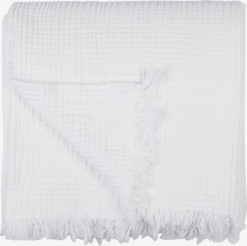 Barine Blankets 'Cocoon' in White: front