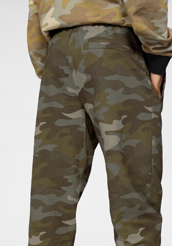Bruno Banani Tapered Jogginghose in Grün