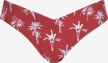 OLYMPIA Bikinibroek in Rood: voorkant