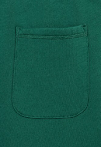 BLKVIS Zúžený Kalhoty – zelená