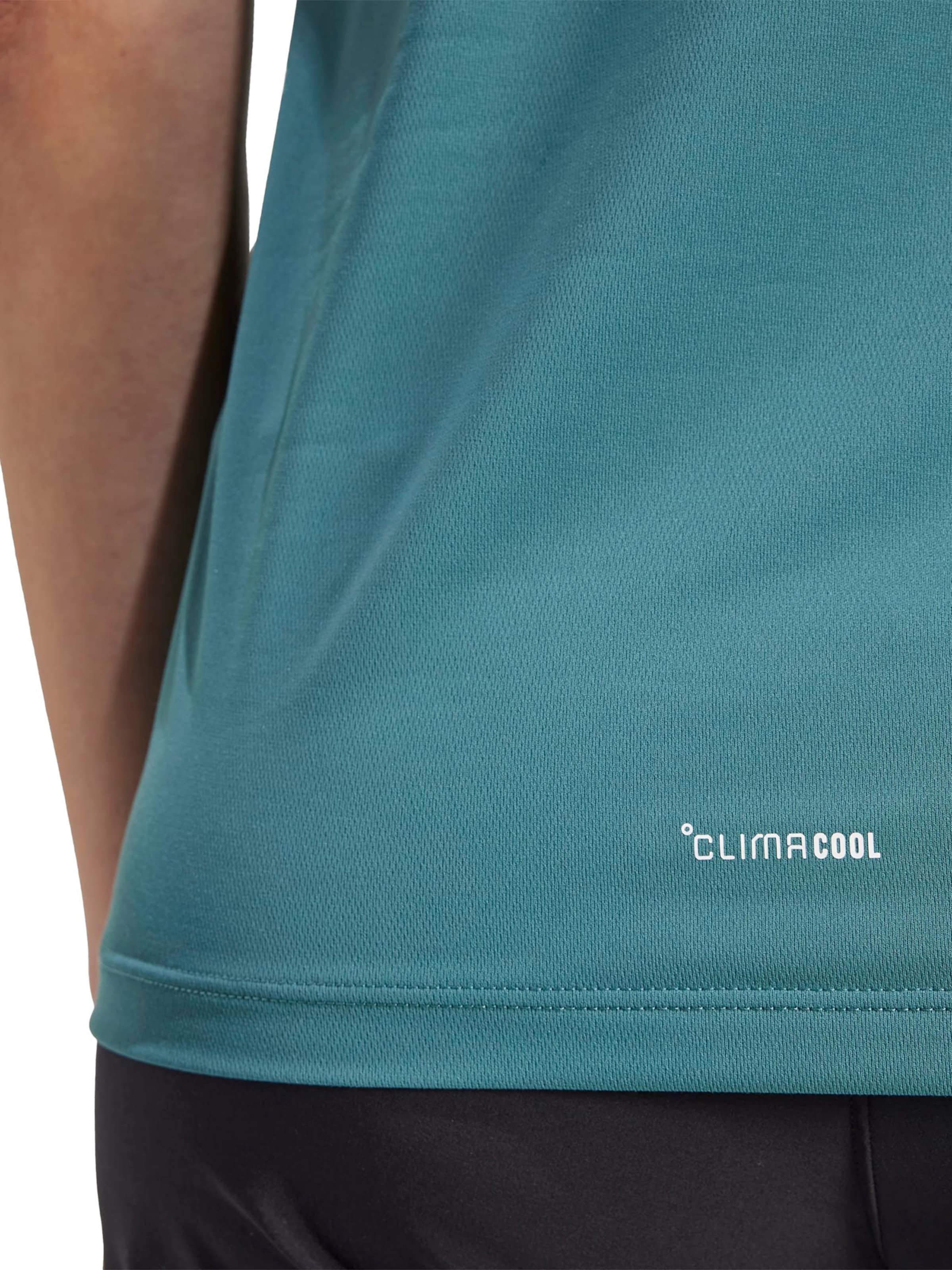 T-shirt fonctionnel ADIDAS TERREX en vert