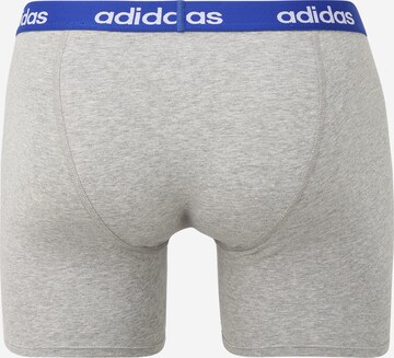 ADIDAS SPORTSWEAR Sports underpants in Grey